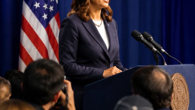 New York Election Highlights: Key Insights into Democratic Strategies