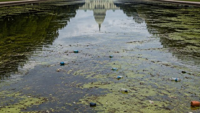 The Unforeseen Challenges of Trump's Reflecting Pool: An Environmental Perspective