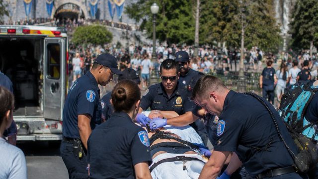 Emergency Response After Disneyland Visitor's 50-Foot Fall on Ride