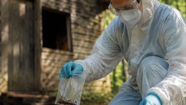 CDC Lifts Hantavirus Response as Threat Levels Decrease